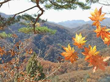 58同城崖城招聘信息崖城招聘信息大揭秘，探索在58同城上的职业机会